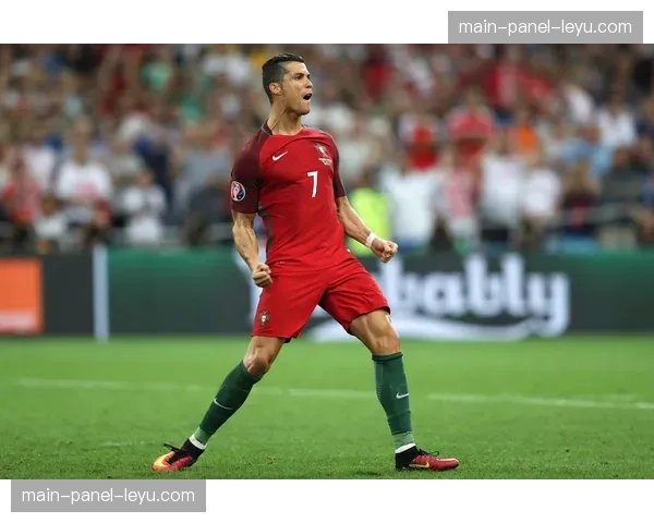 布雷斯特主场迎战马赛，弗朗西斯-勒布雷球场设施完备遵循FIFA标准