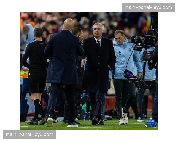 安切洛蒂在新闻发布会上称赞维尼修斯“已是最佳之一”